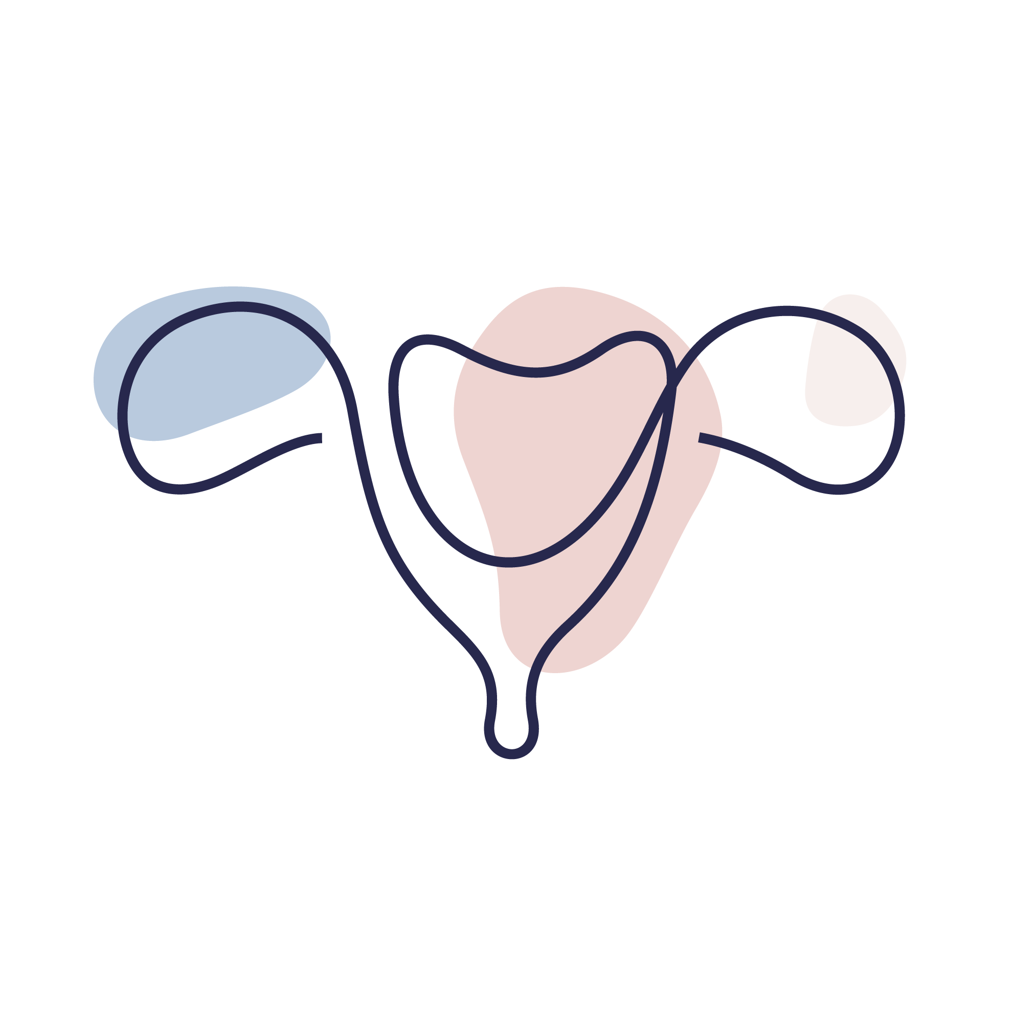 Dr Chris Arthur Gynaecology