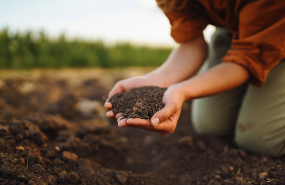 HOW SOILS WORK: BASICS AND MICROBIOLOGY (completed)
