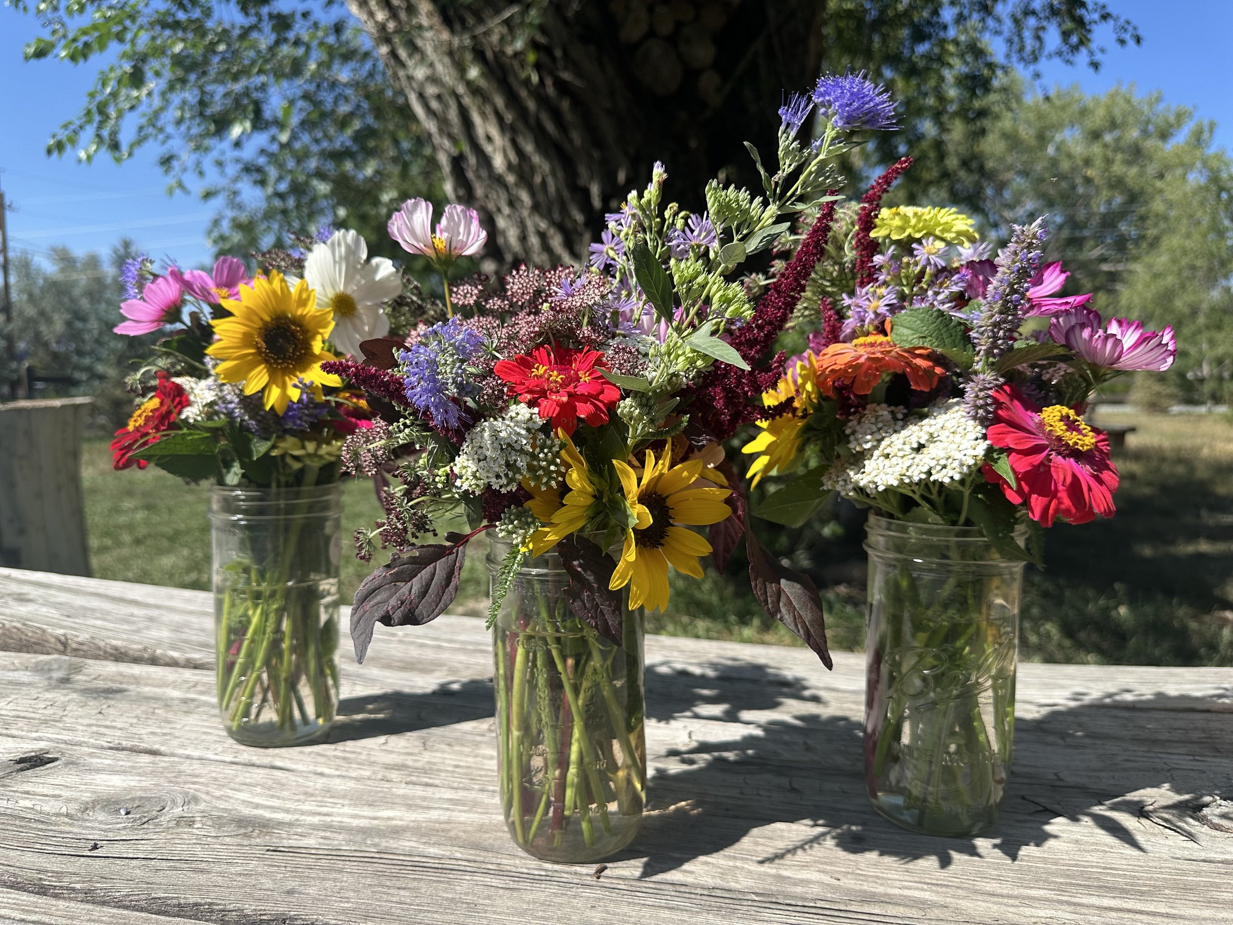 Flower CSA 2025