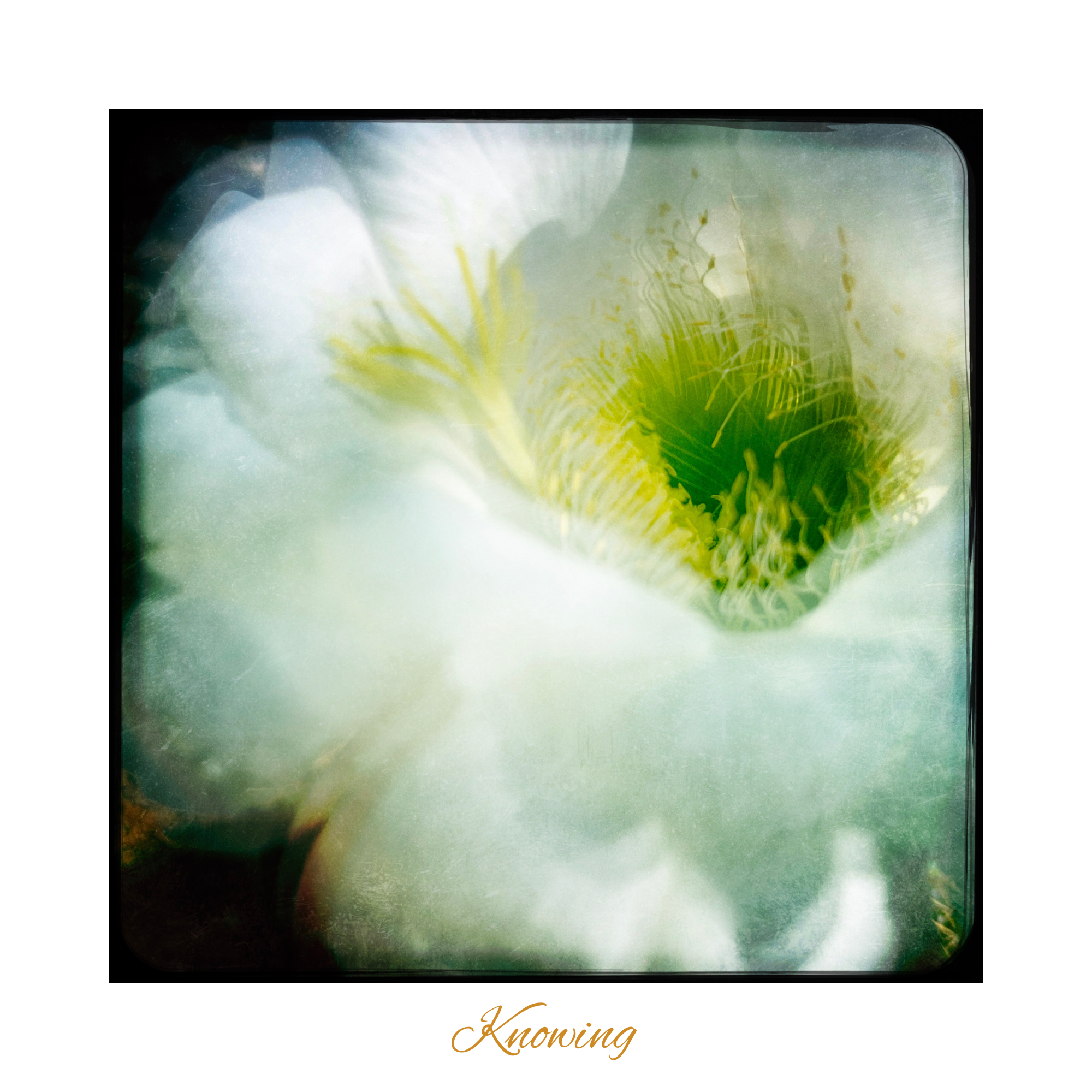 Photography Award Winter 2024