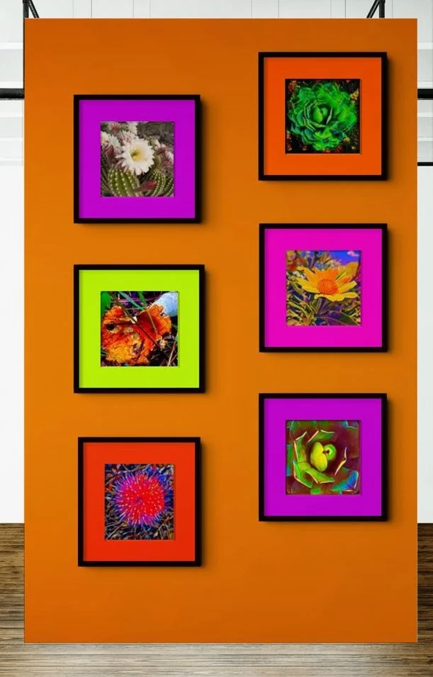 Home Decor