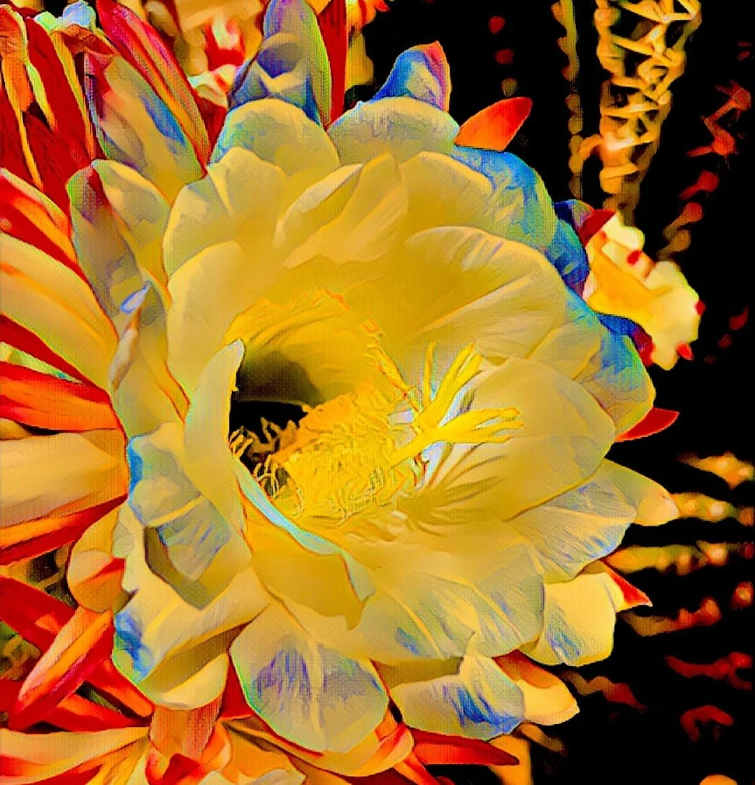 Desert Bloom.jpg