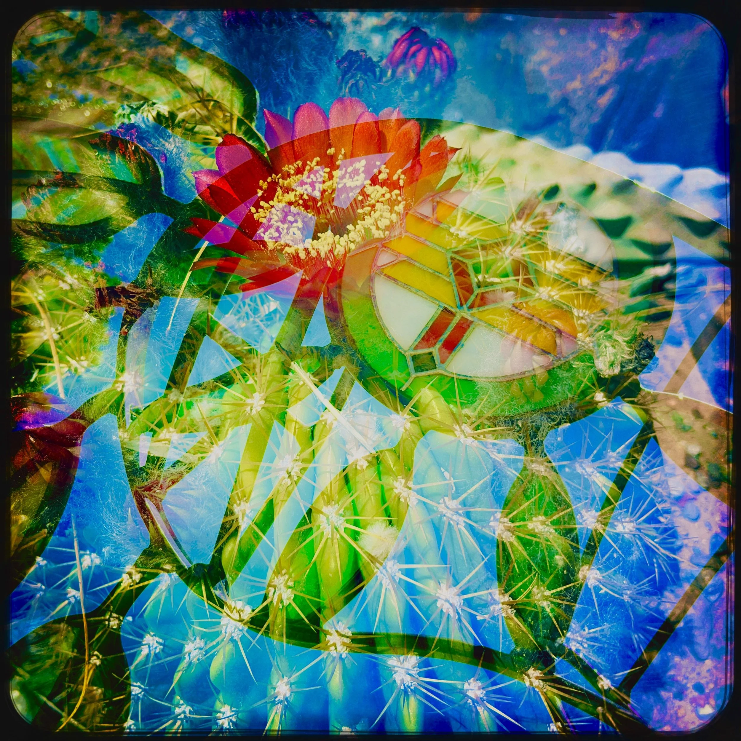 HipstamaticPhoto-703883065.863260 5.jpg