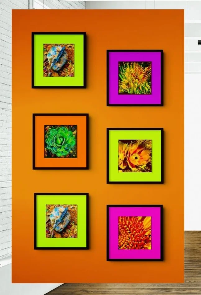 Gallery Panel 1.jpeg
