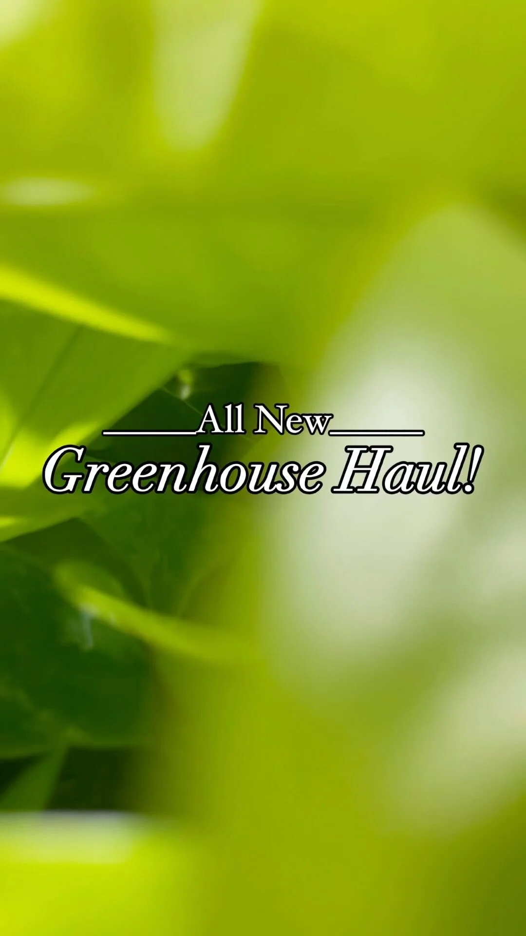 Plants For All Seasons Louetta