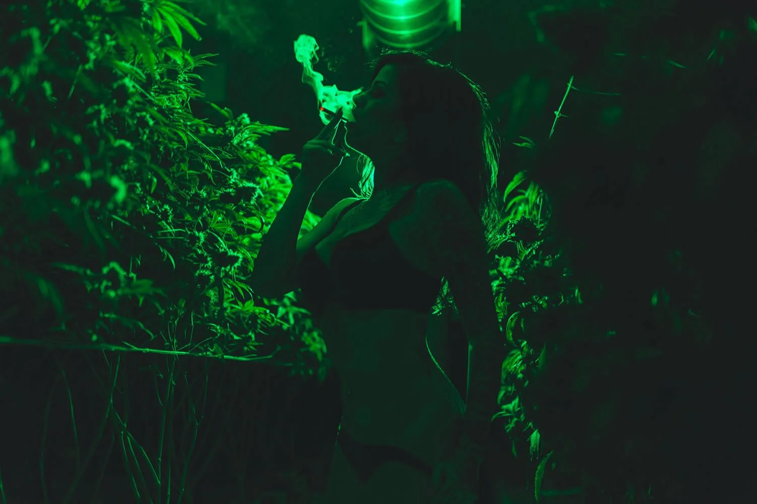 009-madzilla-5-DSC_8114.jpg