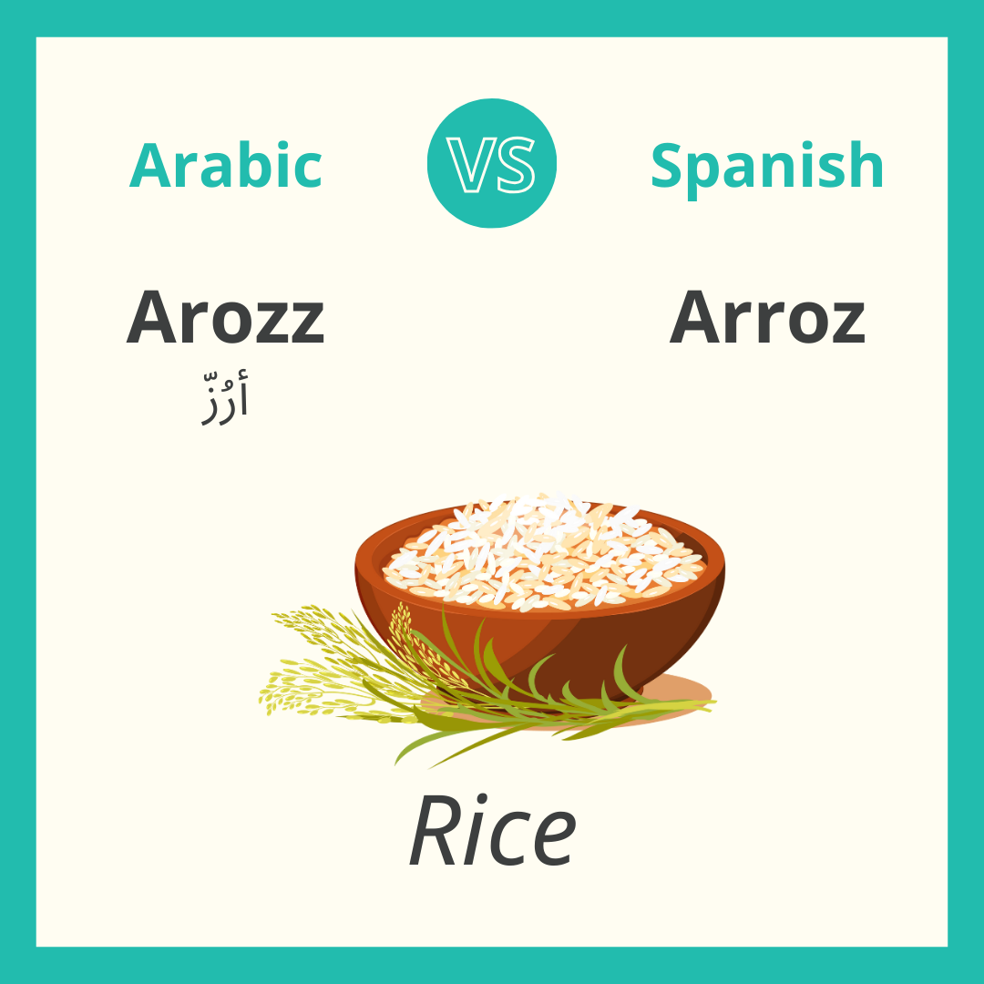 Arabic vs. Spanish, 10 Similar Words — 3arabian