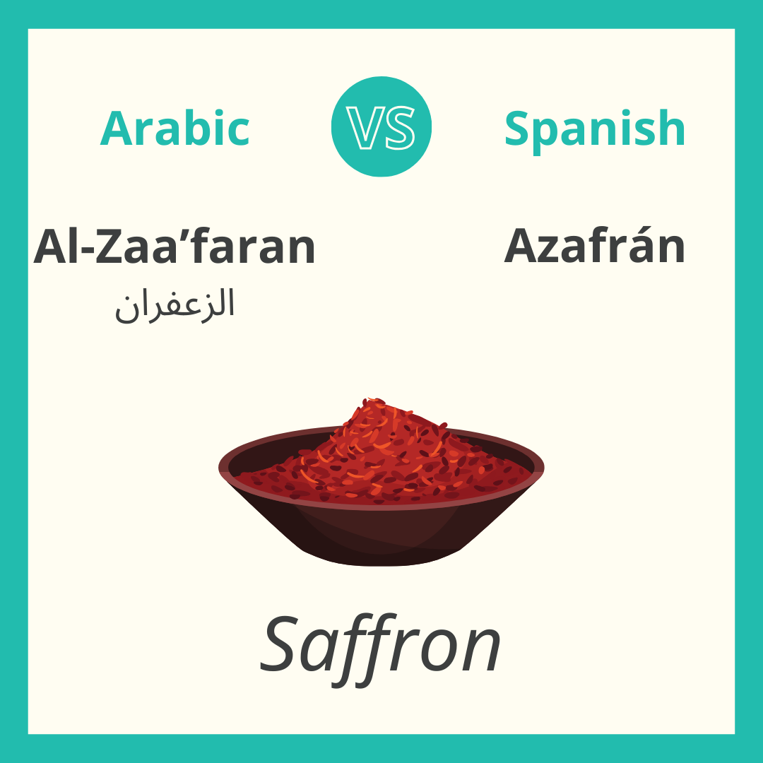 Arabic vs. Spanish, 10 Similar Words — 3arabian
