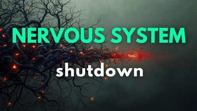 You're Not Resting,                                      You're Shutting Down:                                                   The Difference Your Nervous System Wants You to Know