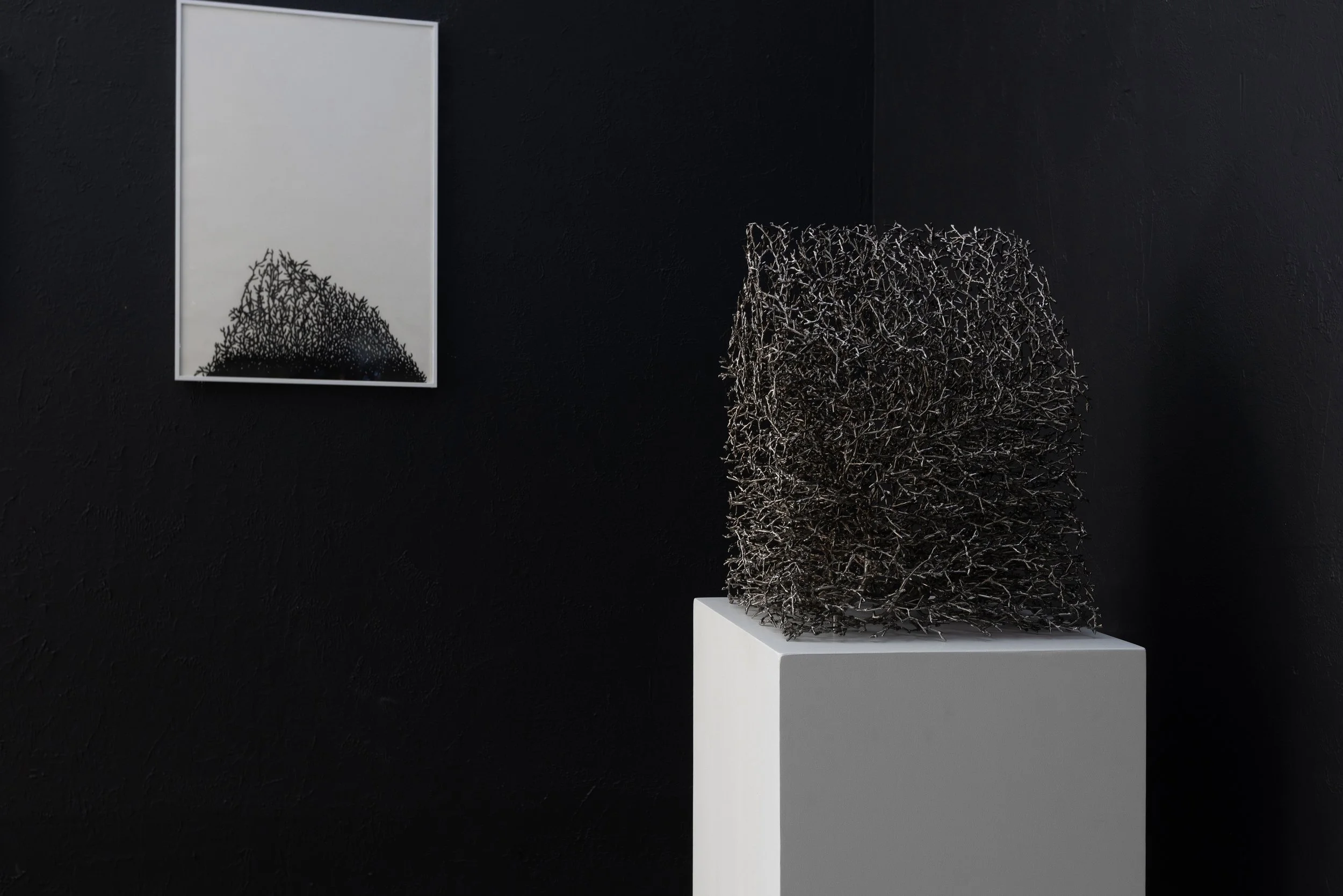 04_FridayGallery copy.jpg