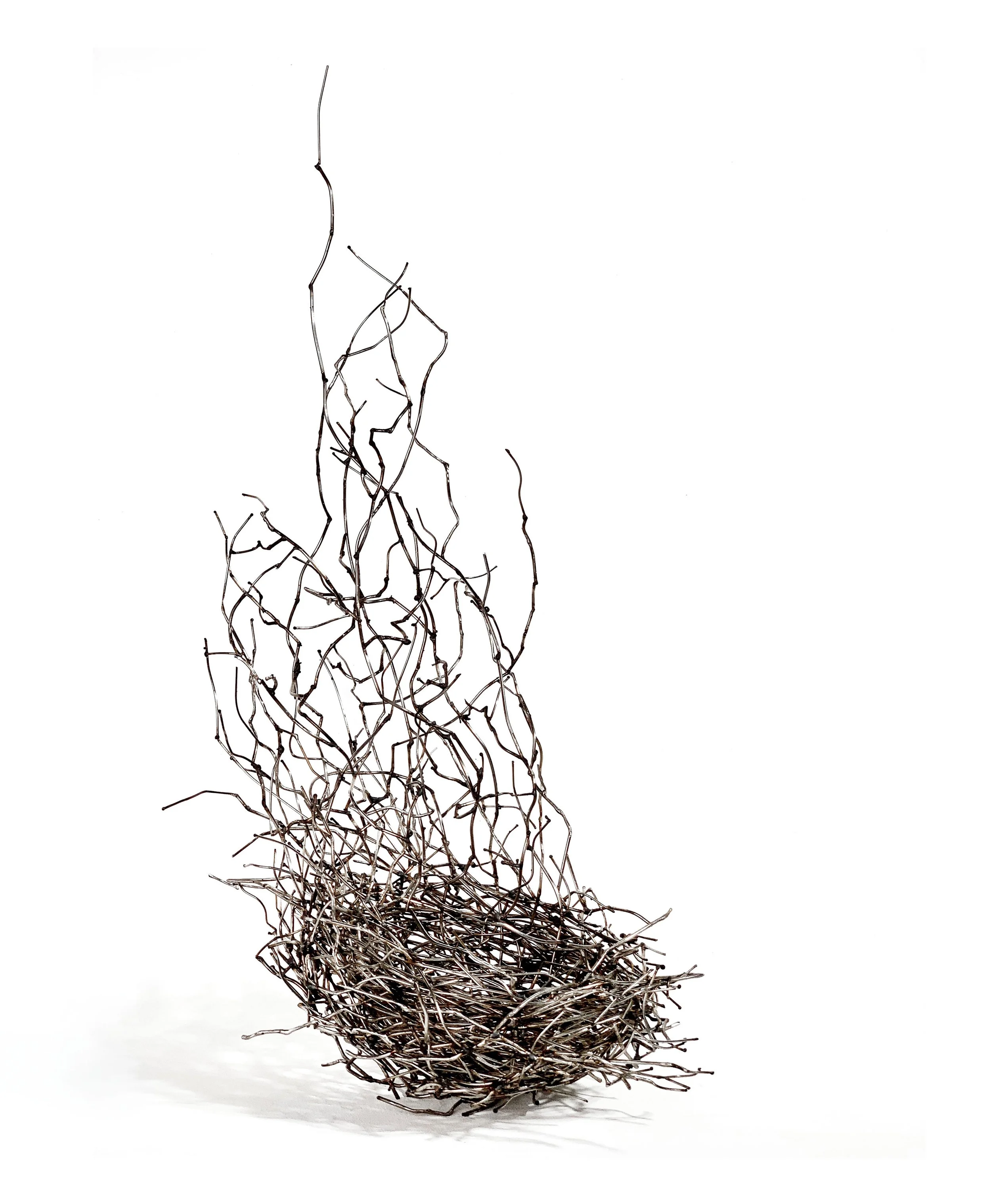 IMG_4414-Recovered copy.jpg