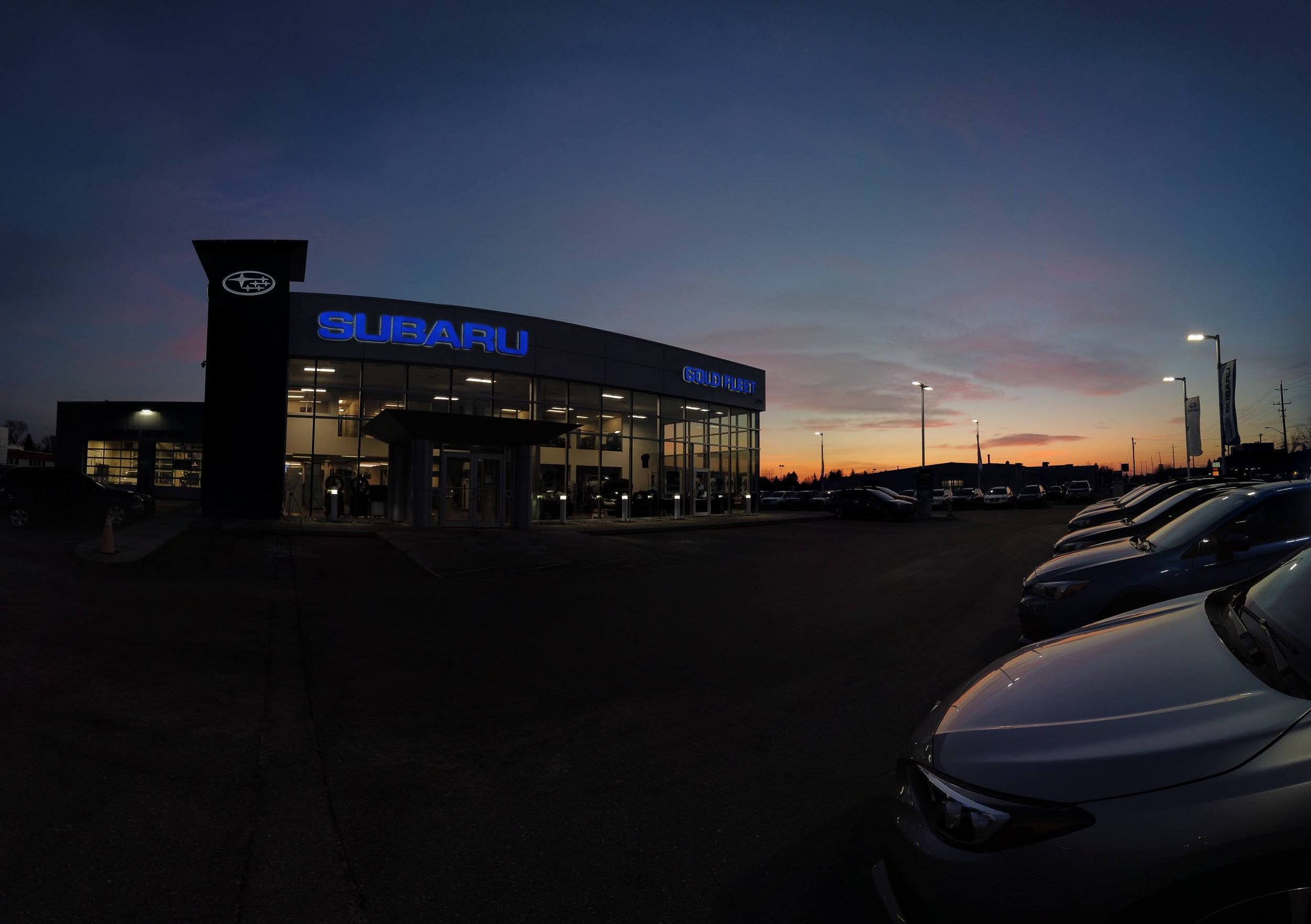 Subie Stories