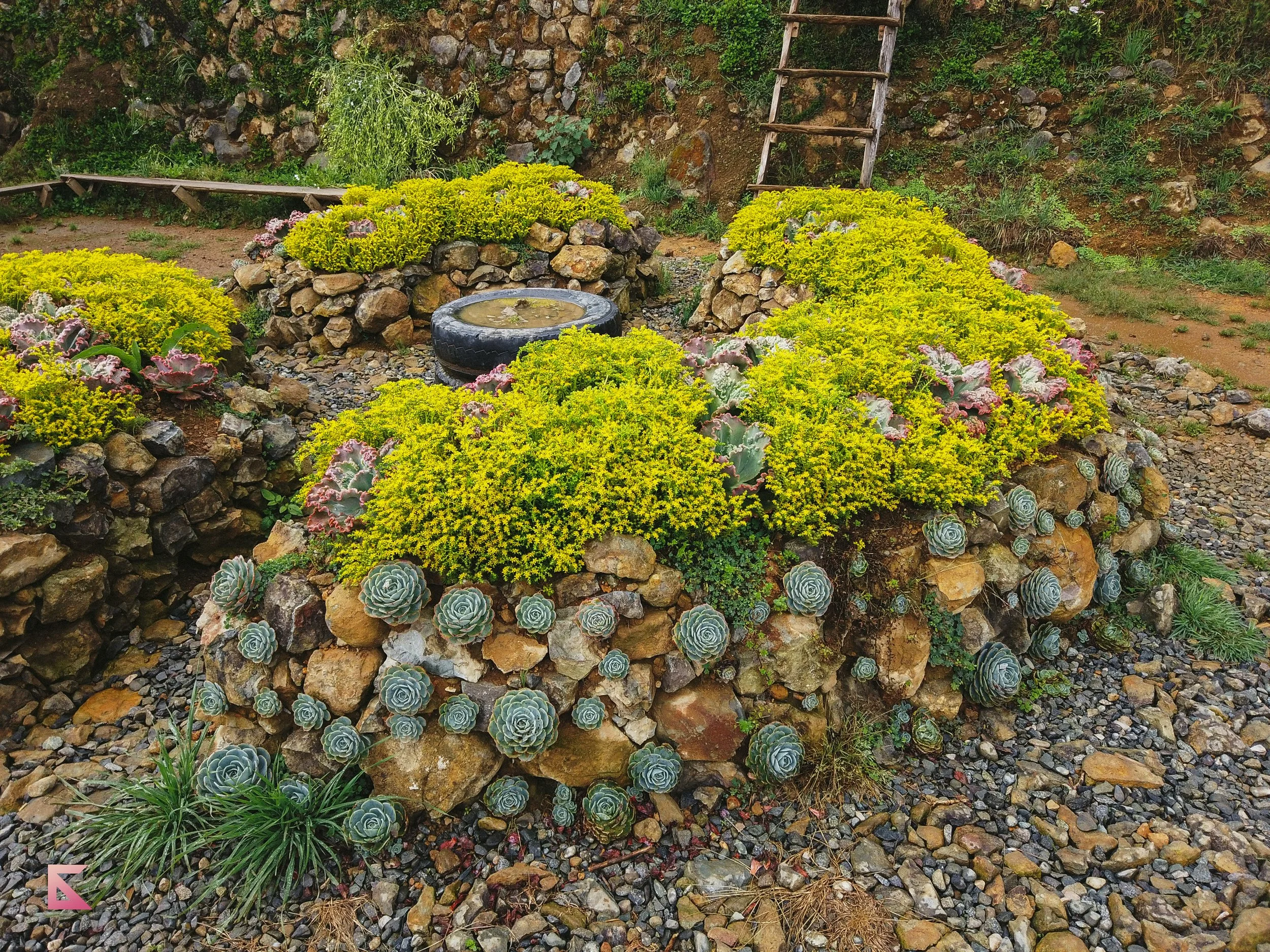 DJI_0092.jpg