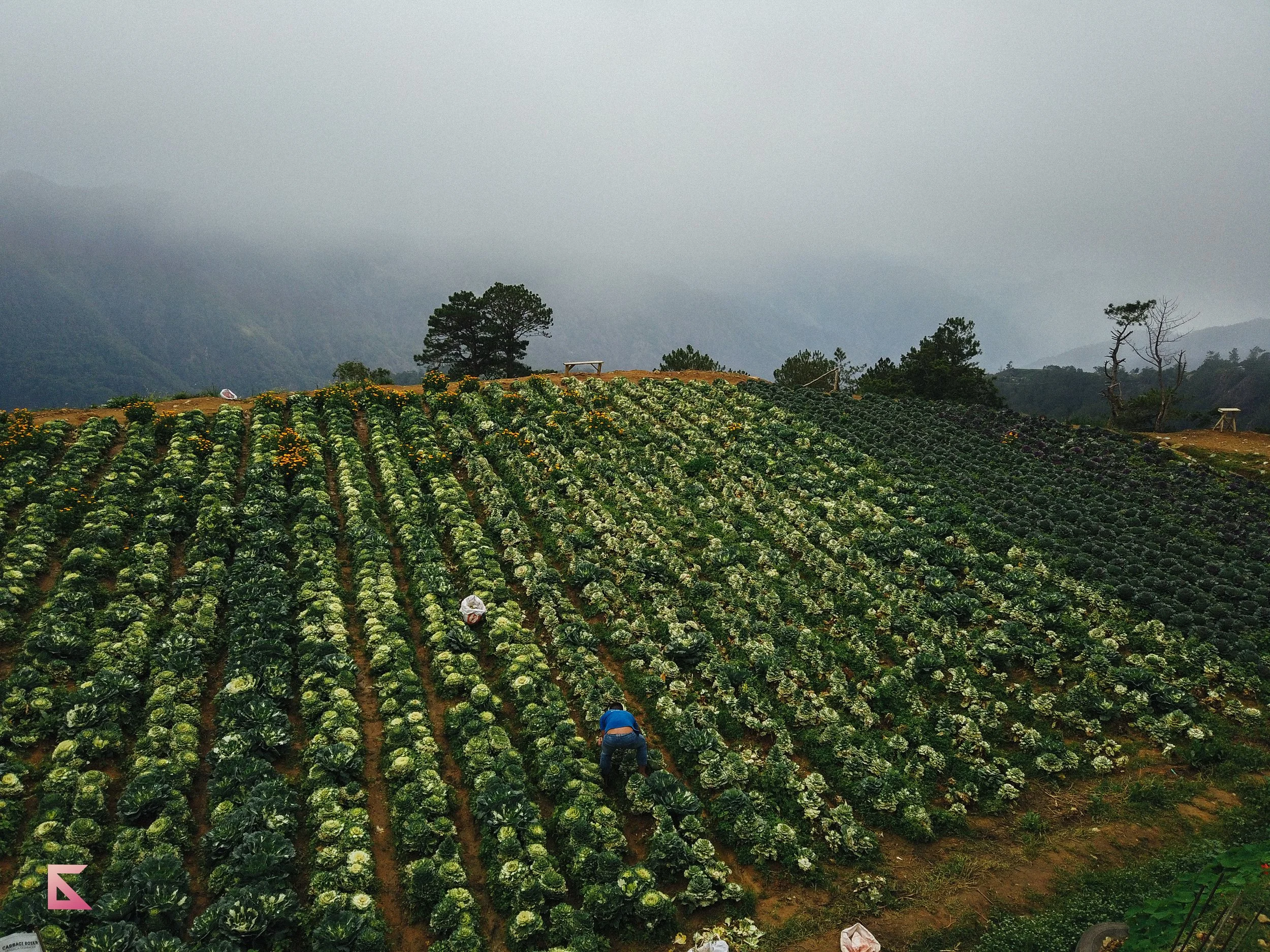 DJI_0083.jpg