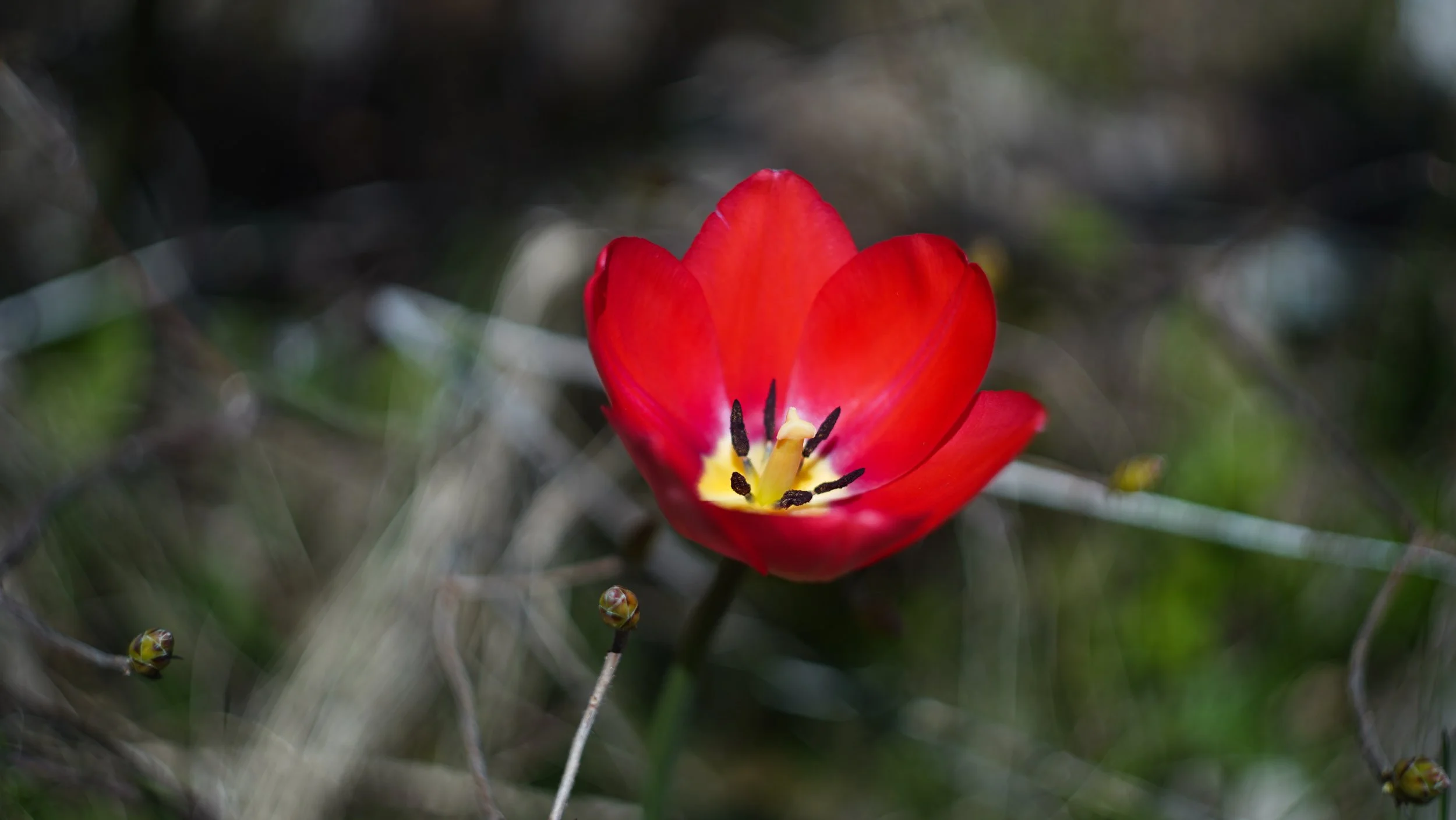 DSC07773.jpg