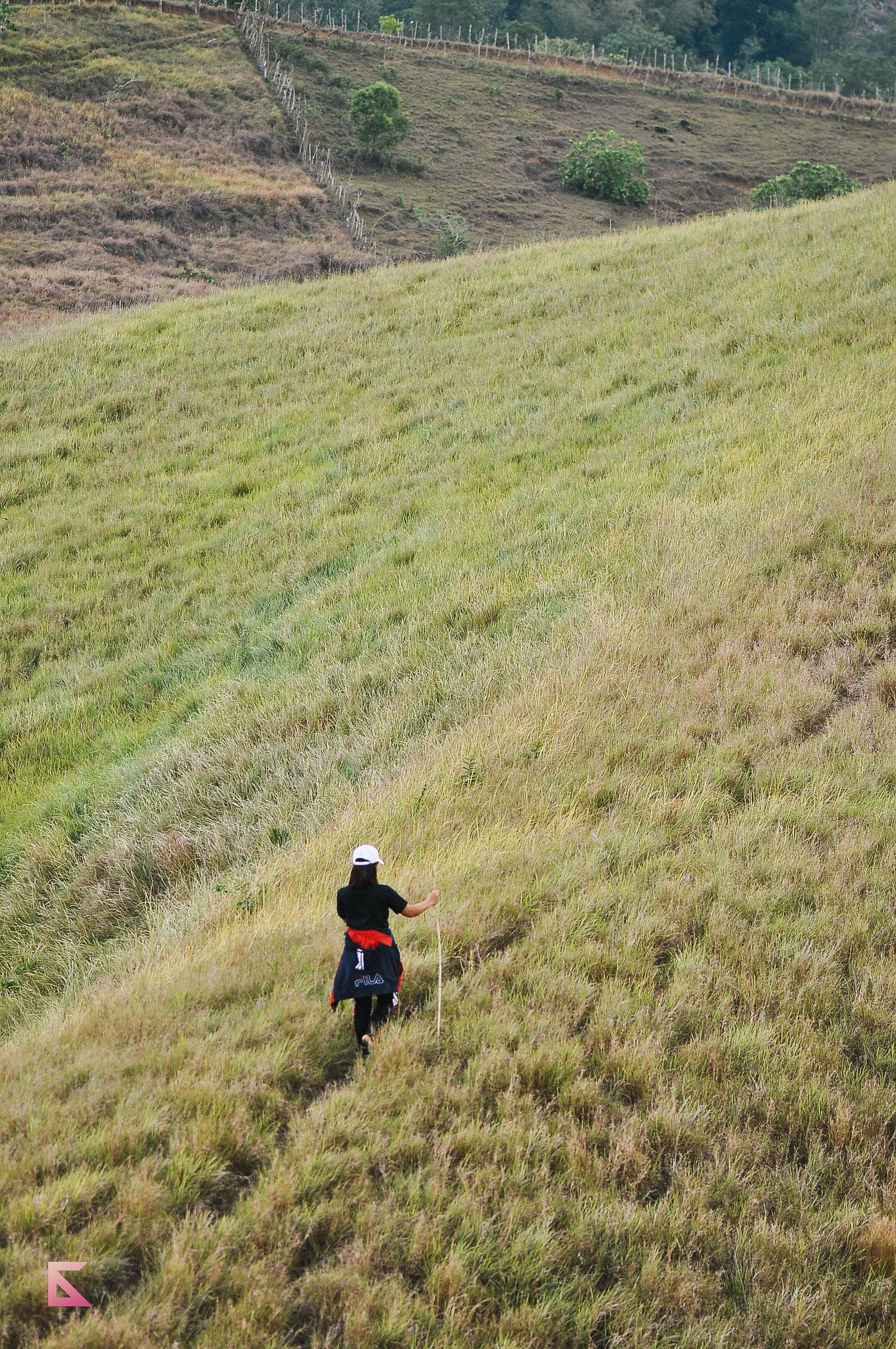 DSC_2987.jpg