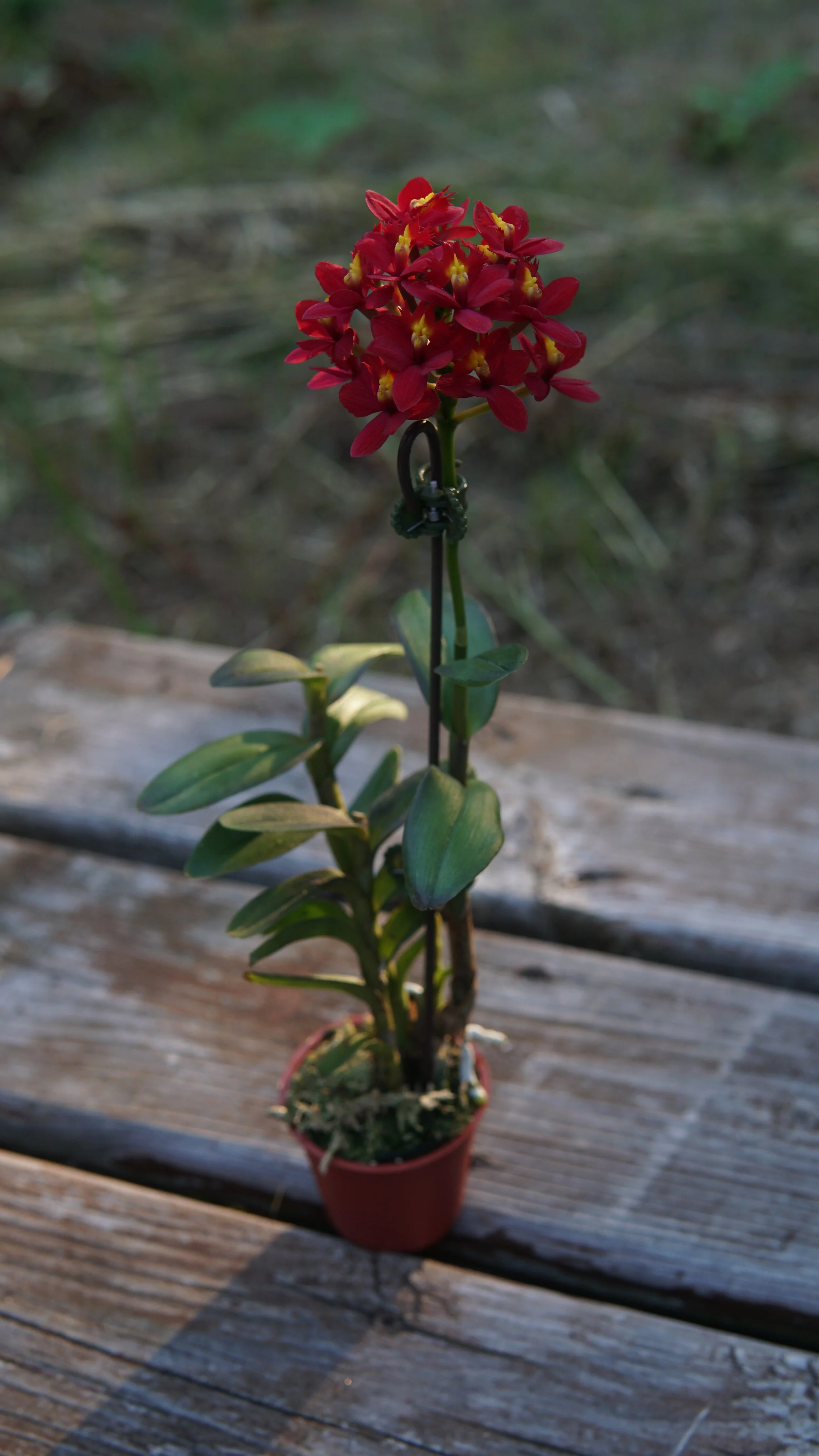 DSC05018.JPG