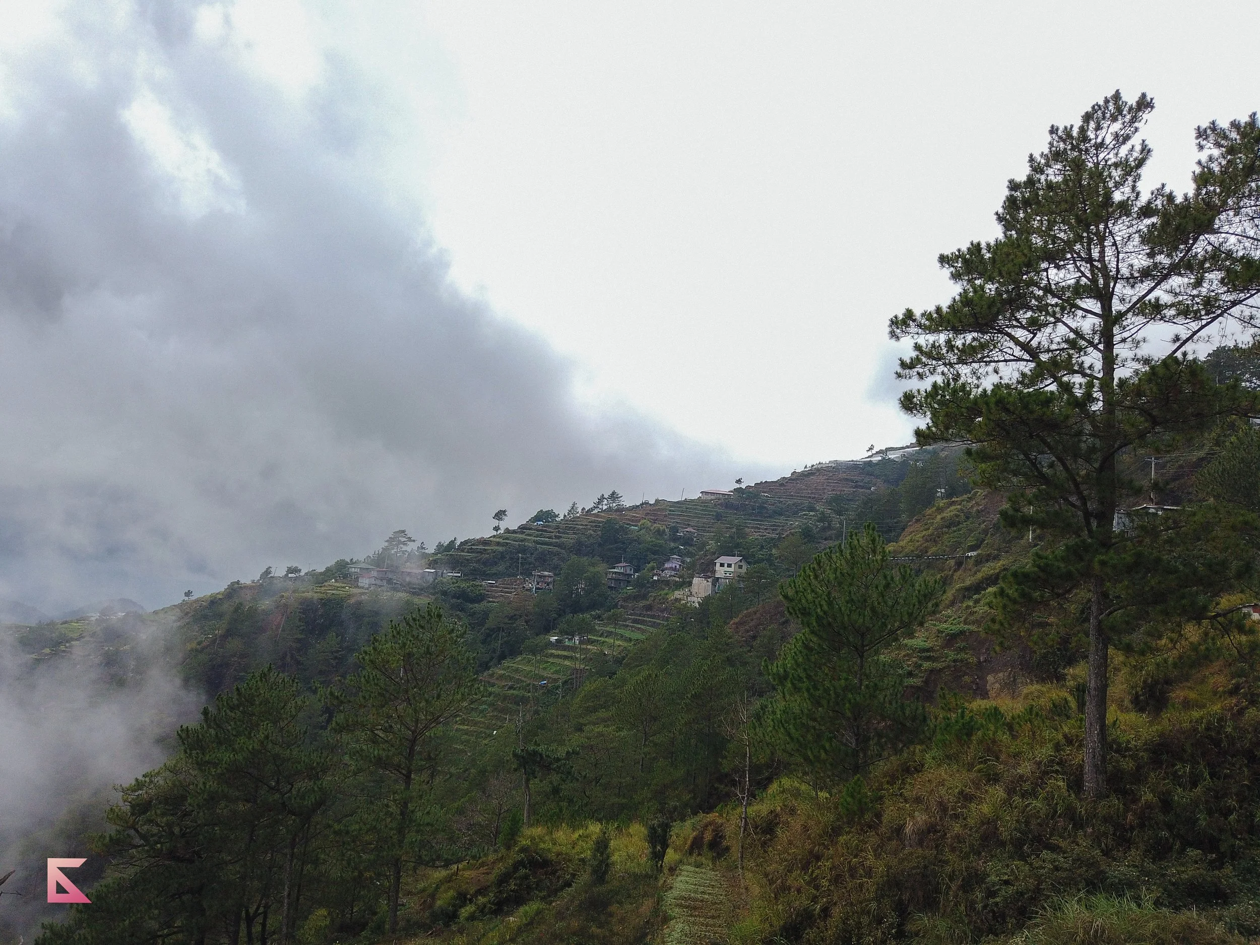 DJI_0098.jpg