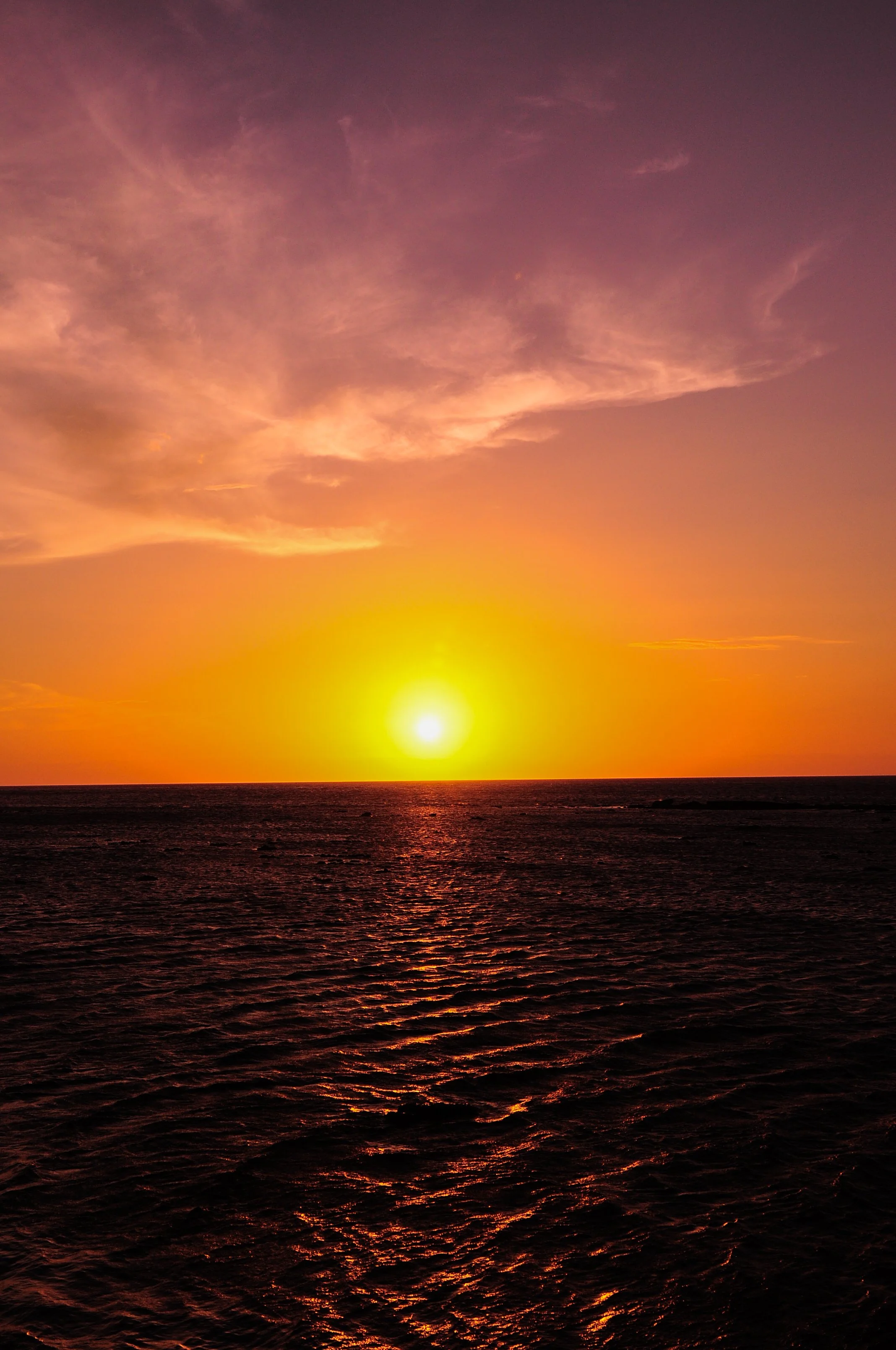 DSC_0425.jpg