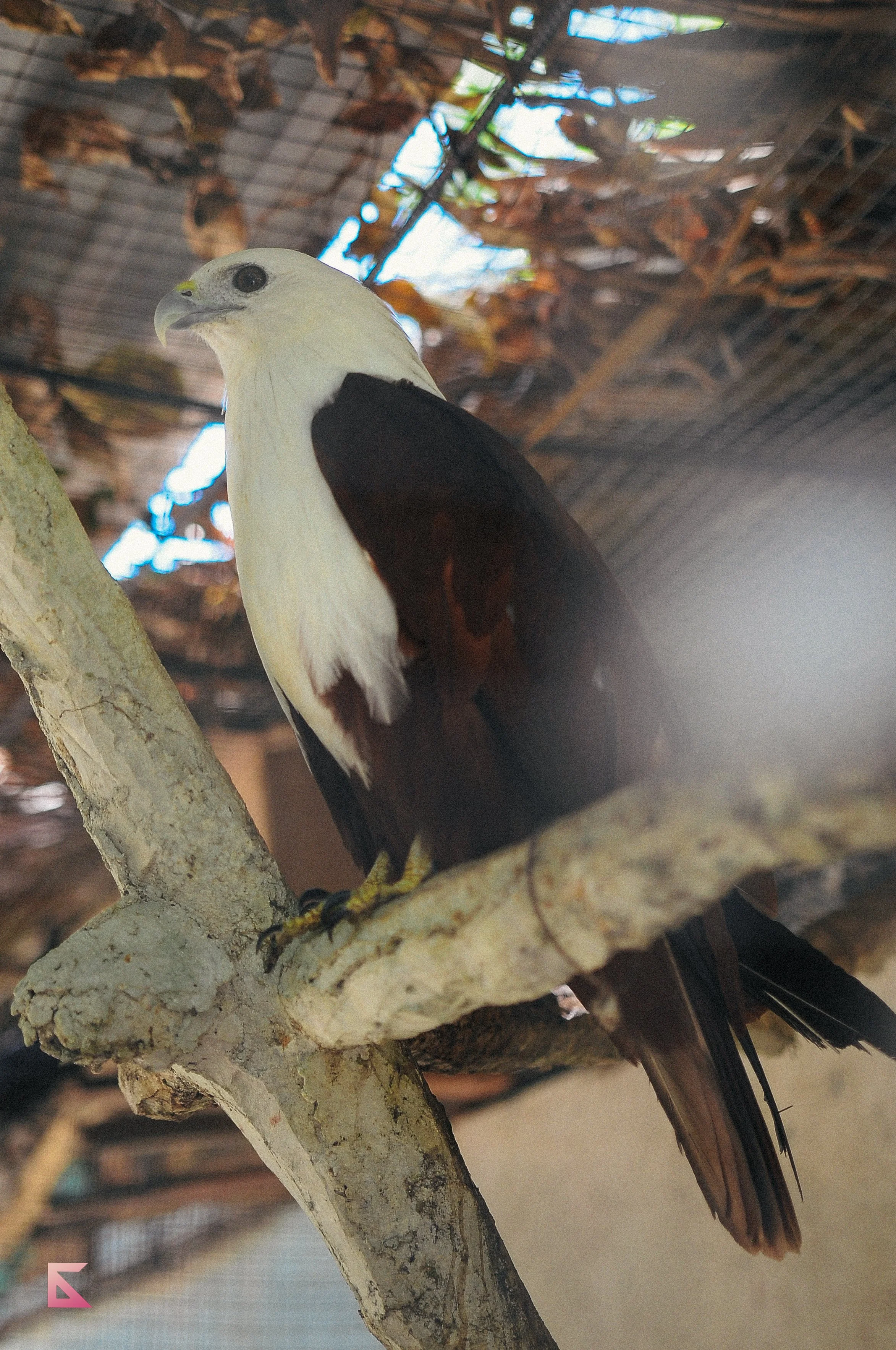 DSC_0191.jpg