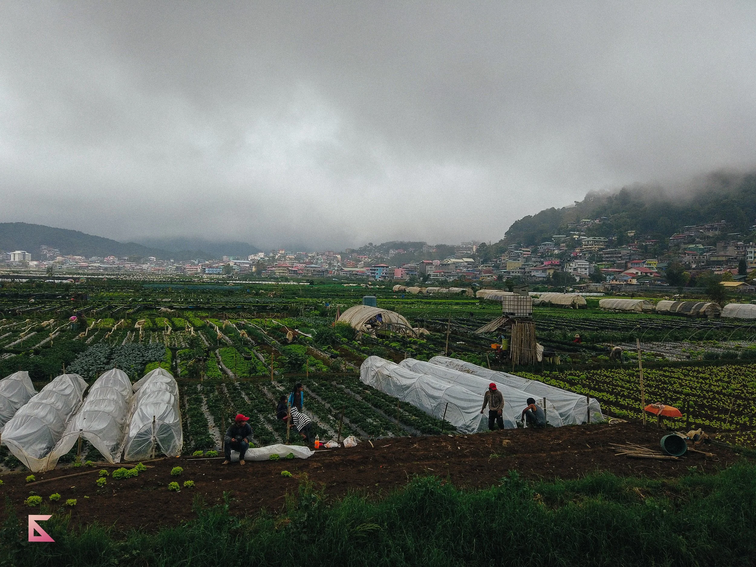 DJI_0107.jpg