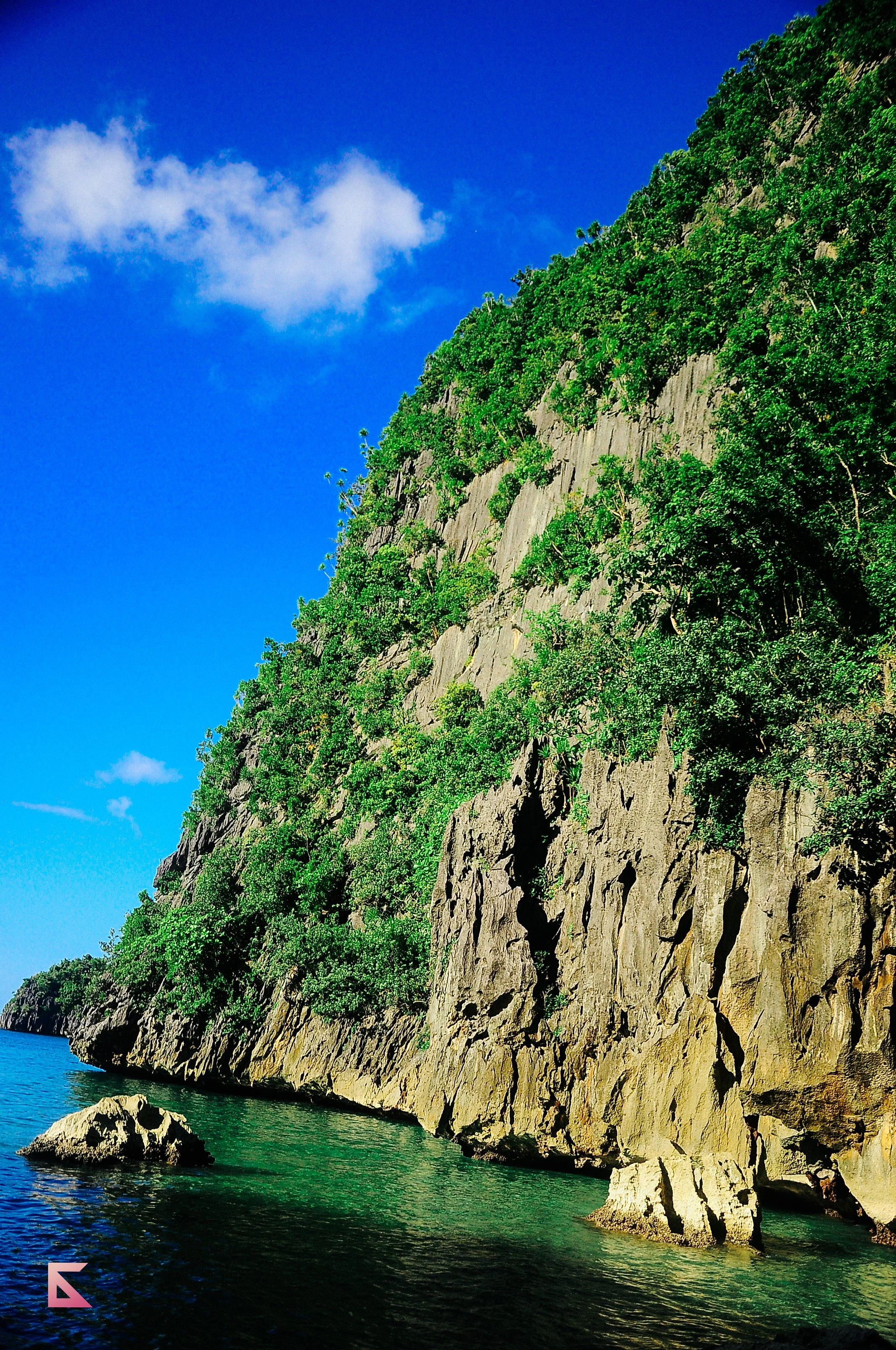 CamSur2012 409.jpg