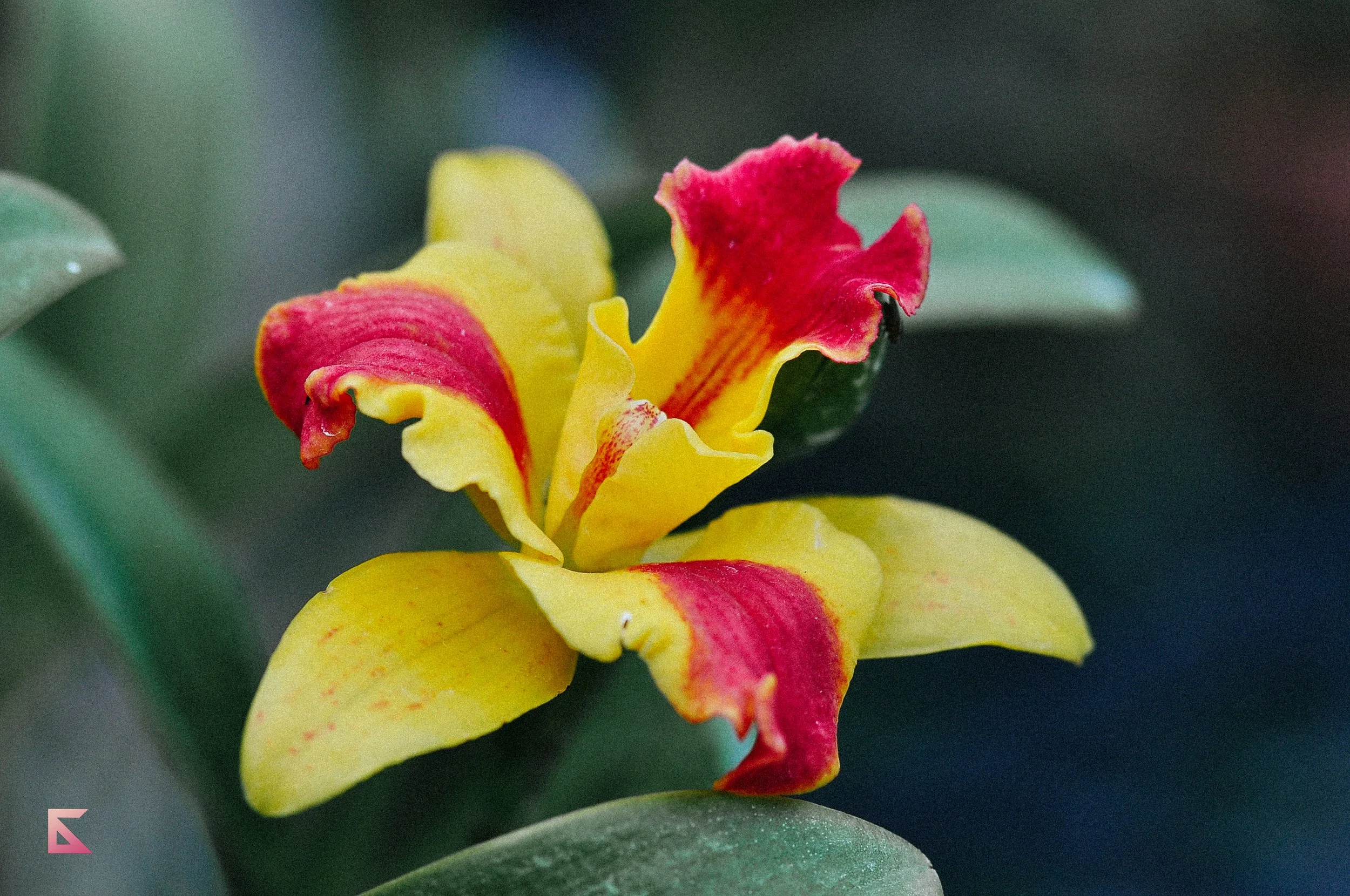 DSC_0874.jpg