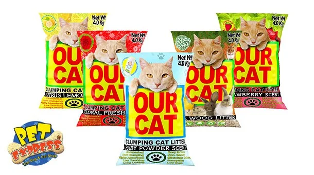 Our-Cat2.jpg