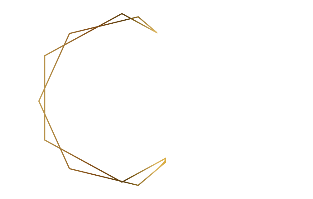 Prisme Intelligence