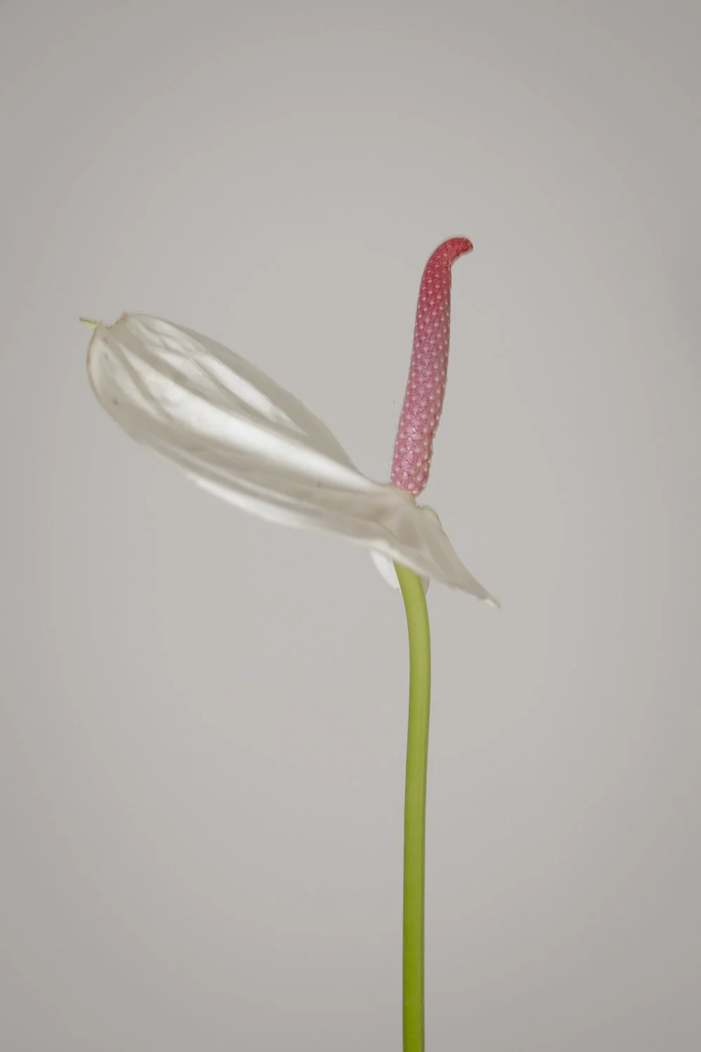 test-1-7.jpg