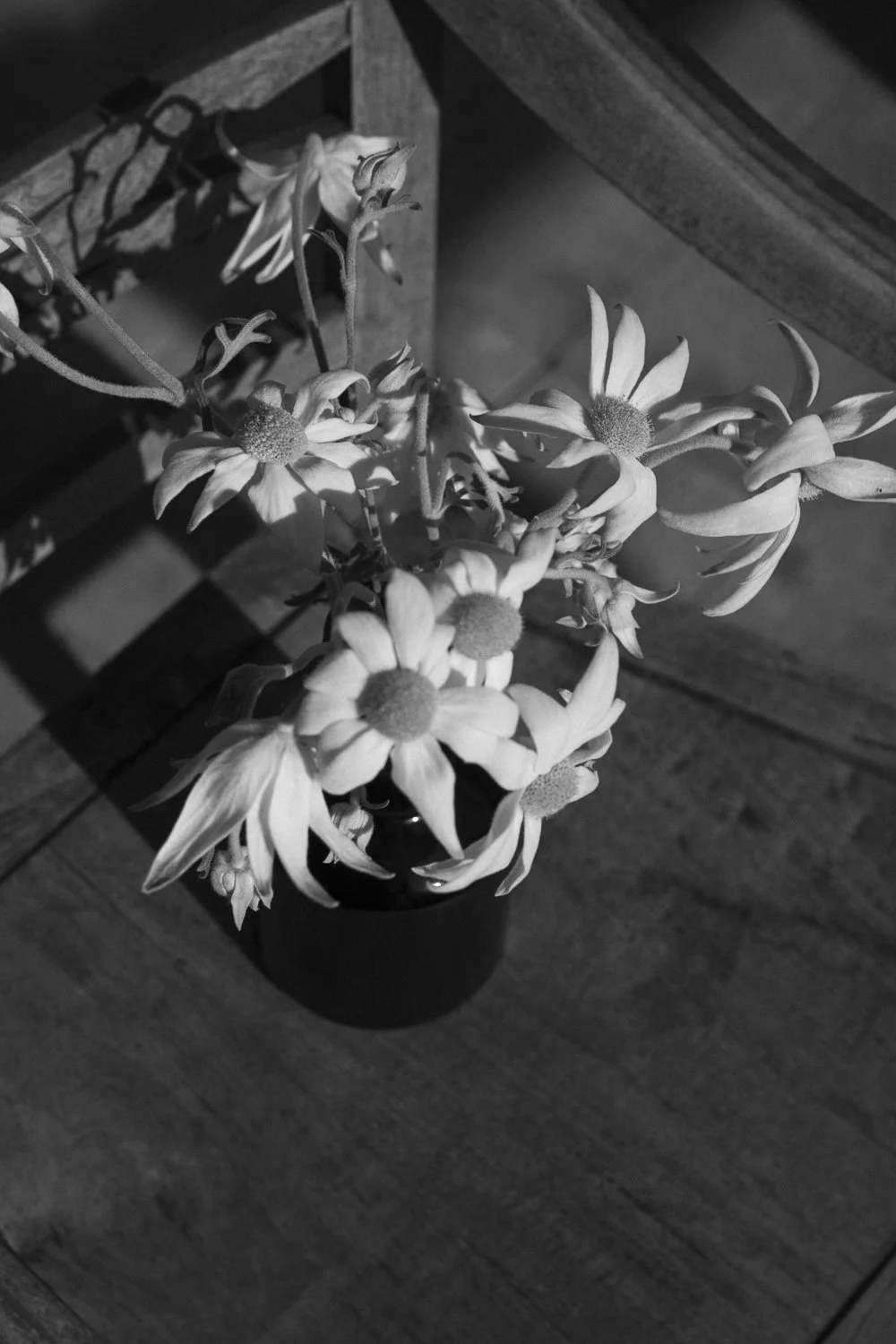 test-1-4 copy.jpg