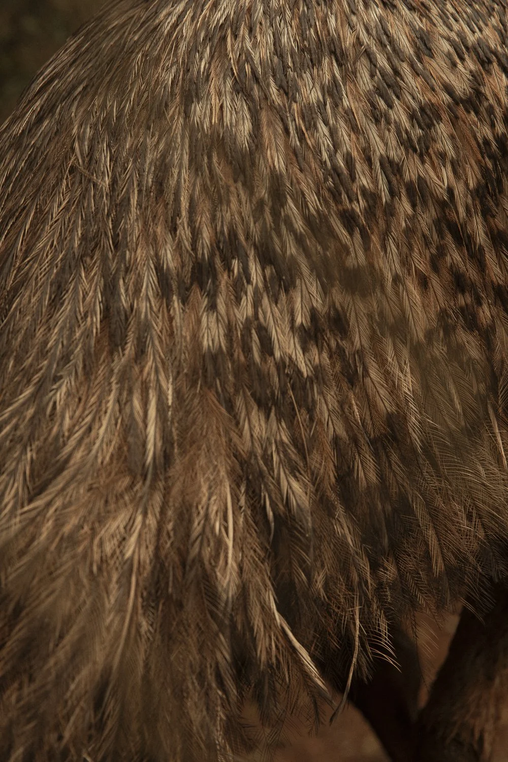 test-1 2.JPG
