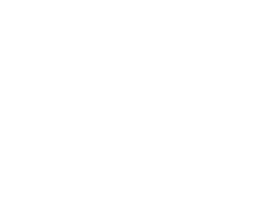 mitsui_rev.png
