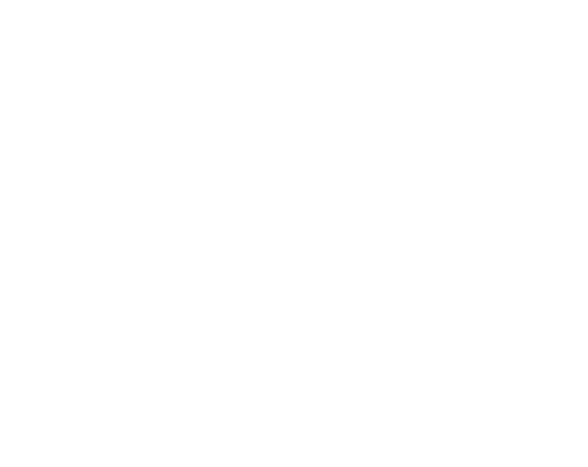 sandvik_rev.png