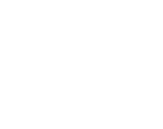 patriot_rev.png