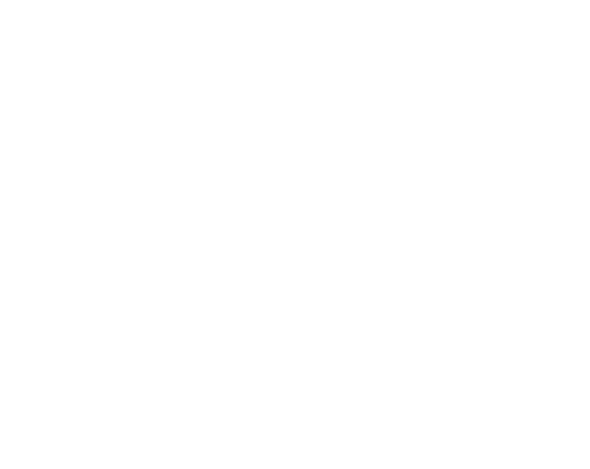 maxsil_rev.png
