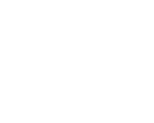 magnetica_rev.png