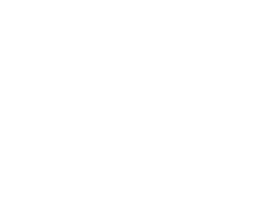 cqib_rev.png