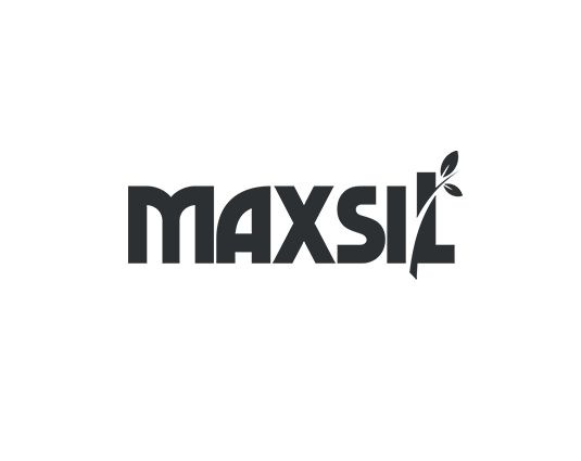maxsil_gry.png