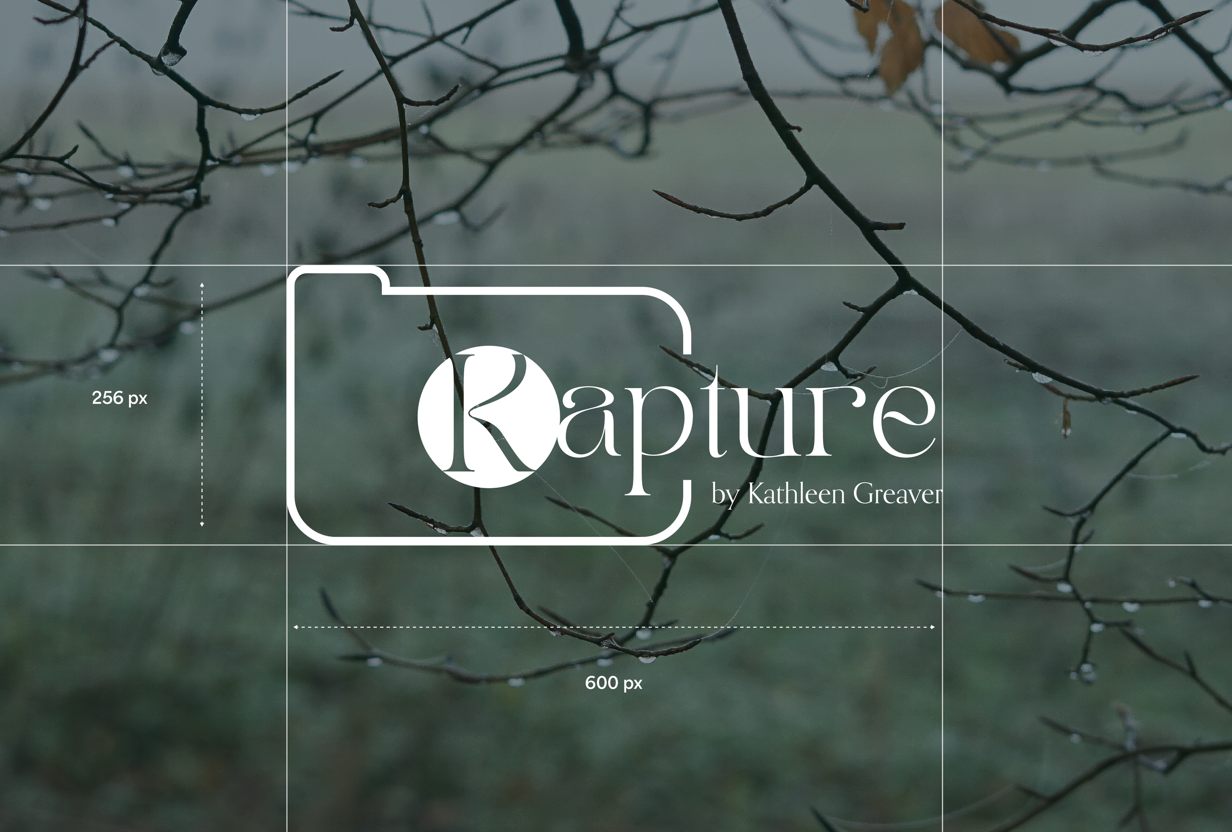Kapture Website Post 3.png