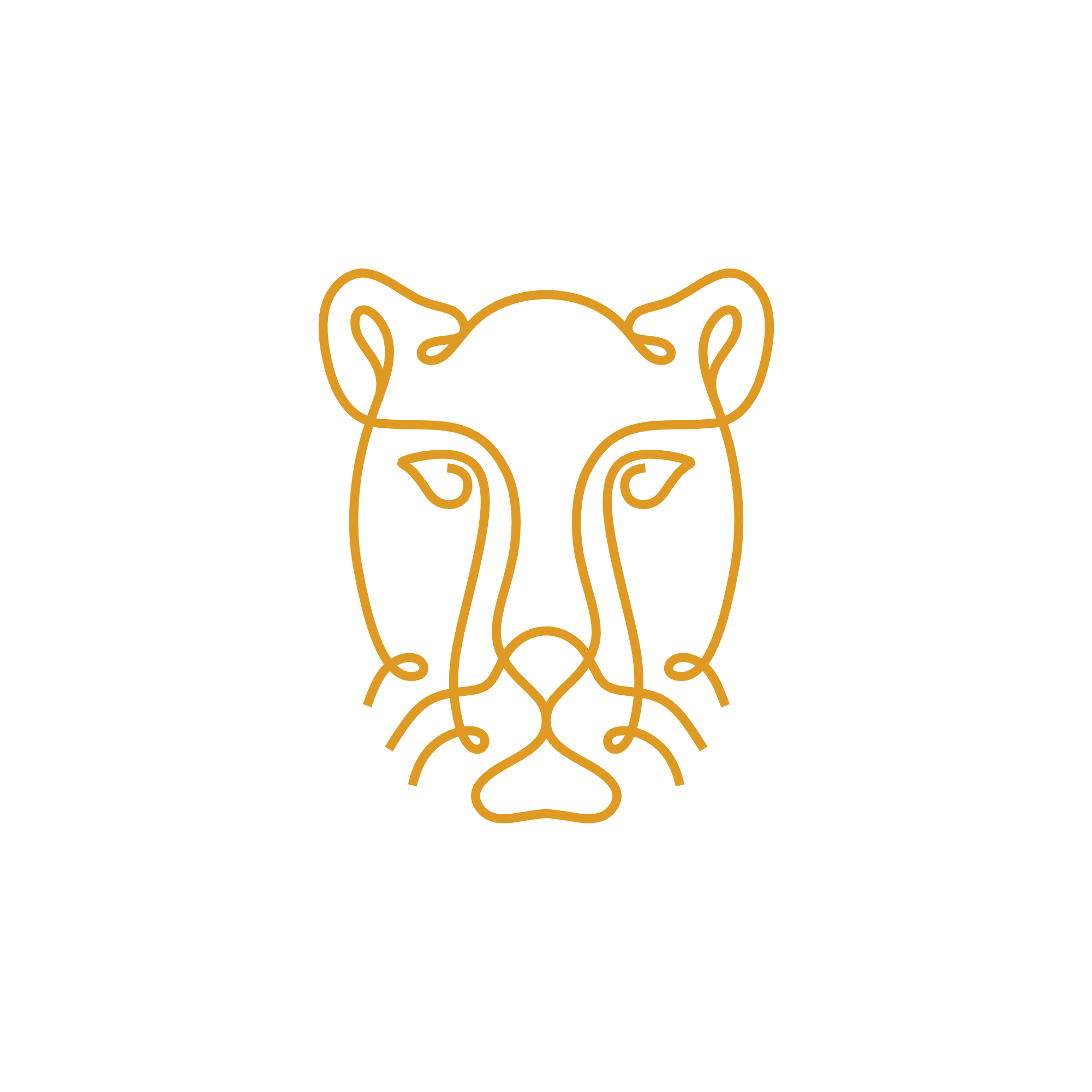 Cheetah Icon