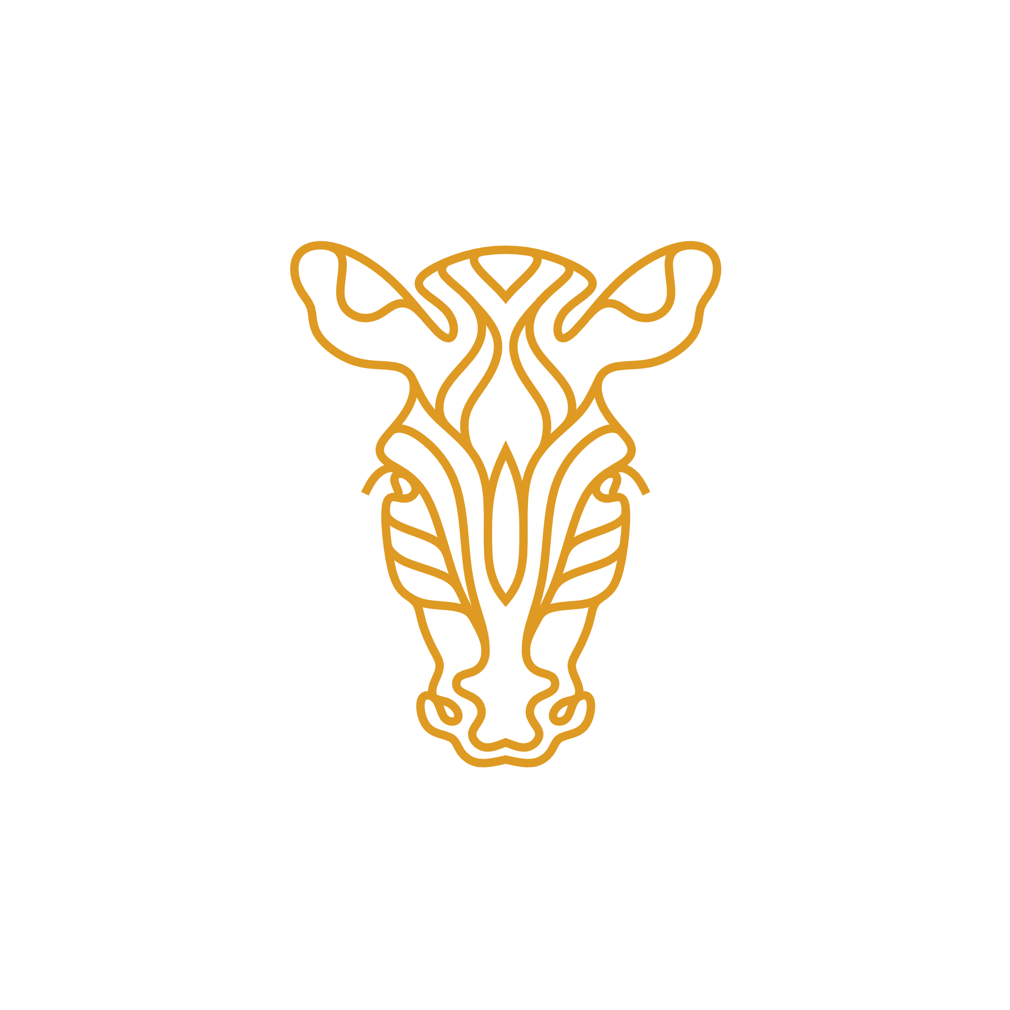 Zebra Icon