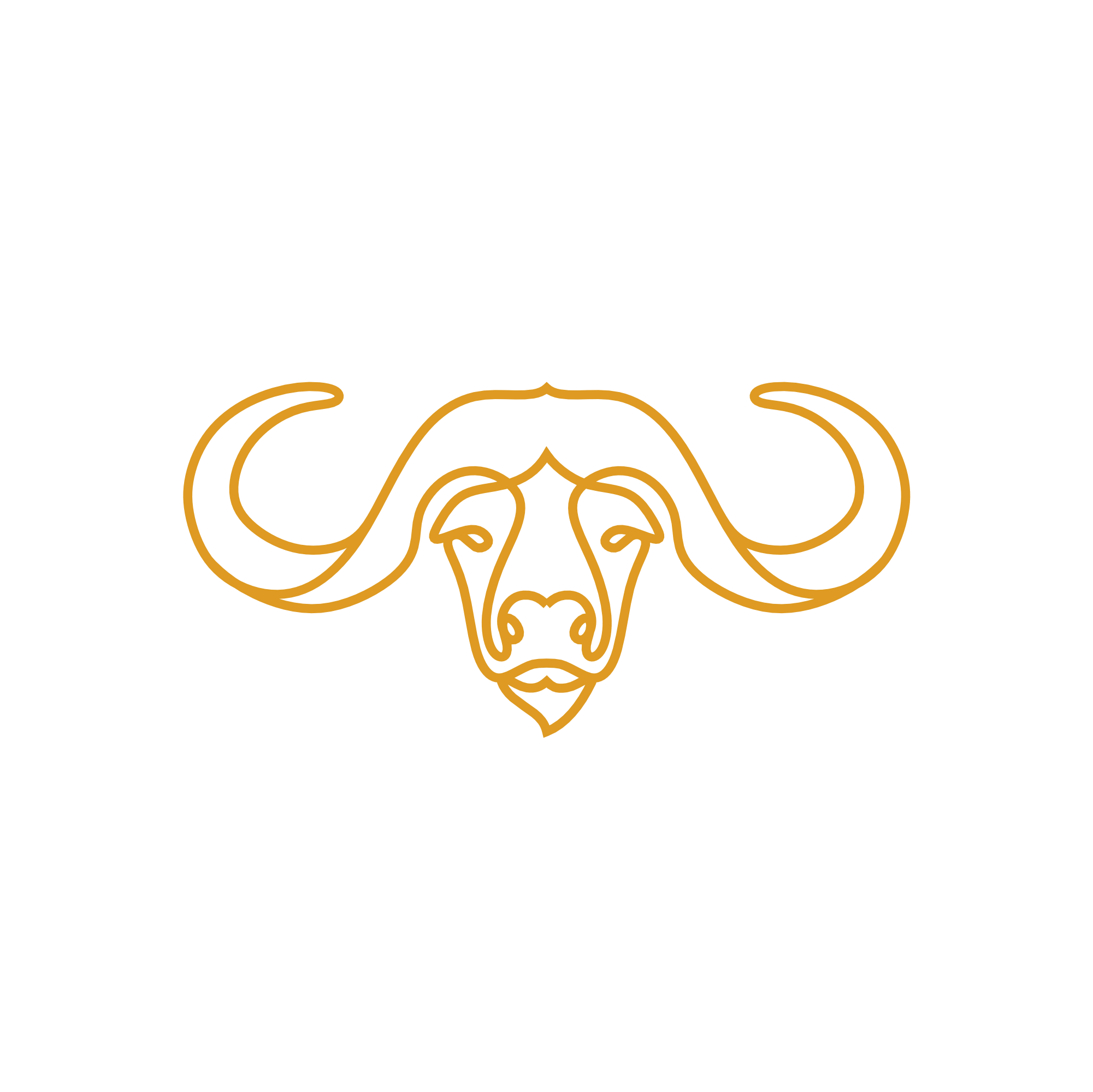 Buffalo Icon