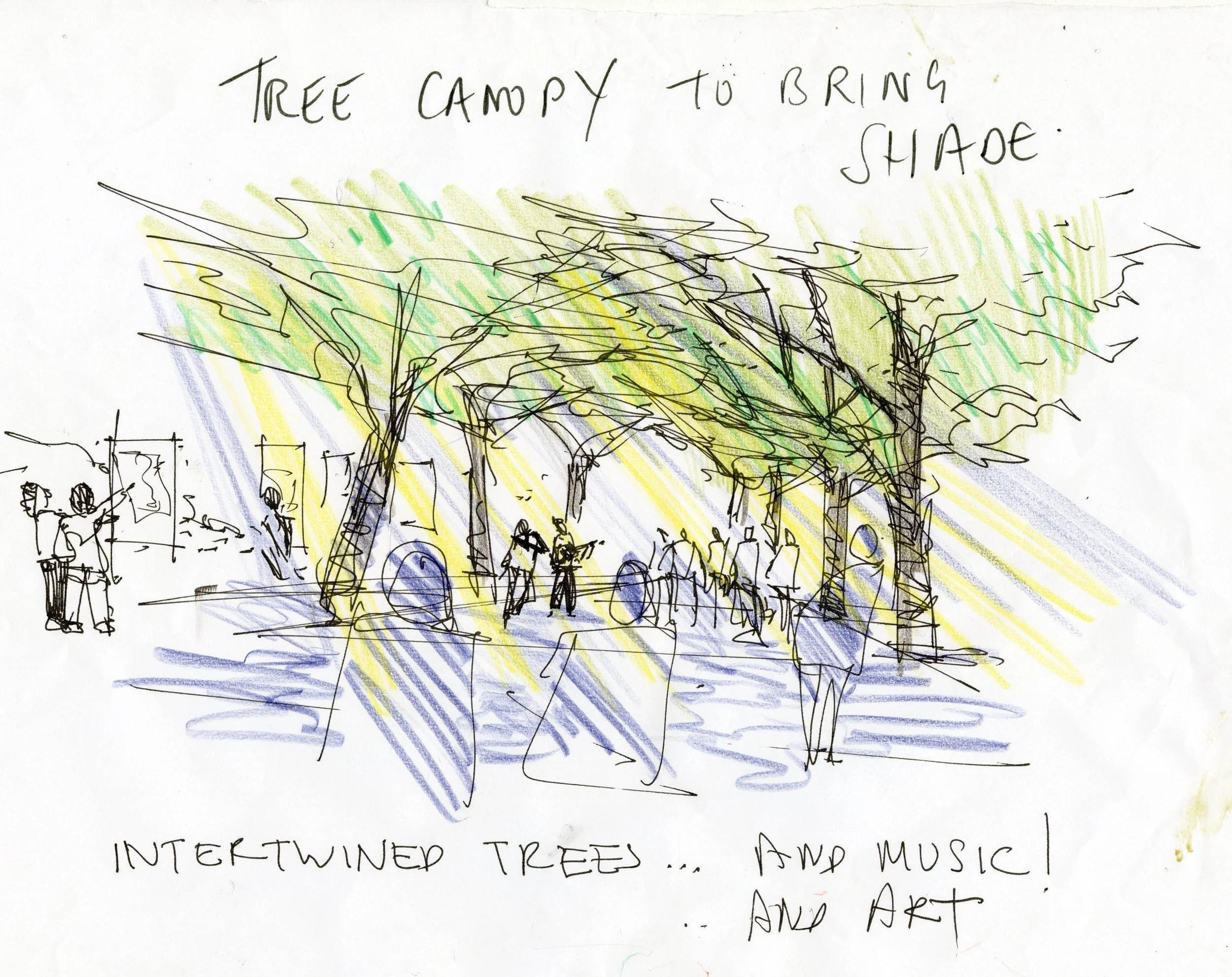 Tree Canopy for shade.jpg