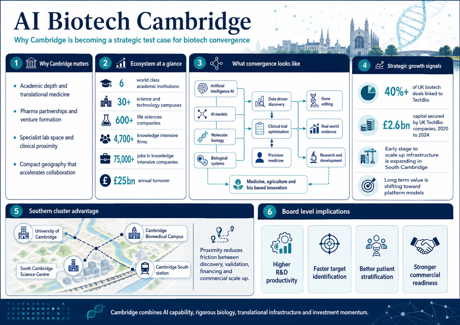 AI Biotech Cambridge Inforgraphic