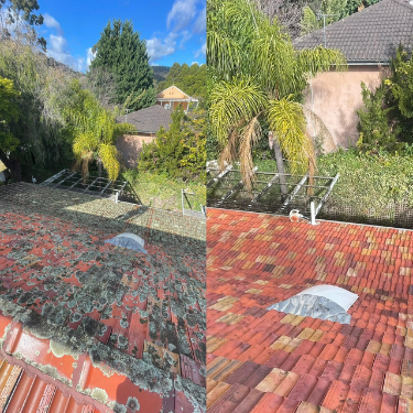roof cleaning in adelaide