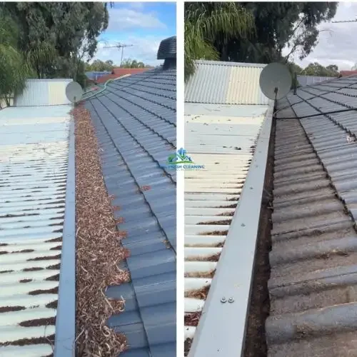 Gutter Cleaning in Adelaide