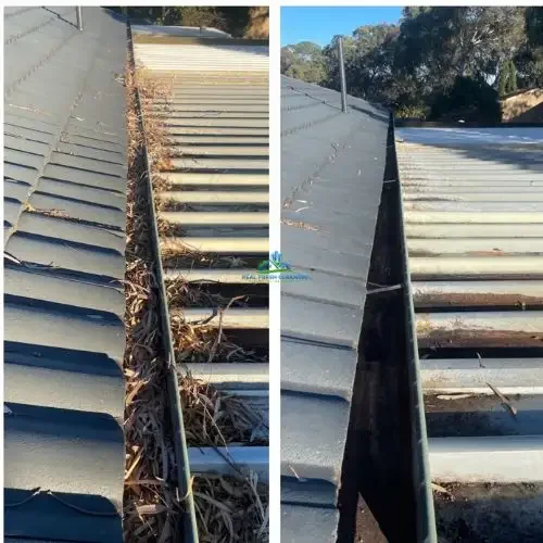 Gutter Cleaning Services