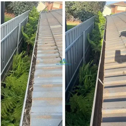Gutter Cleaning Services
