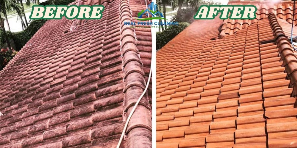 Roof Cleaner in Adelaide